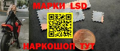 PSILOCYBIN Кинель