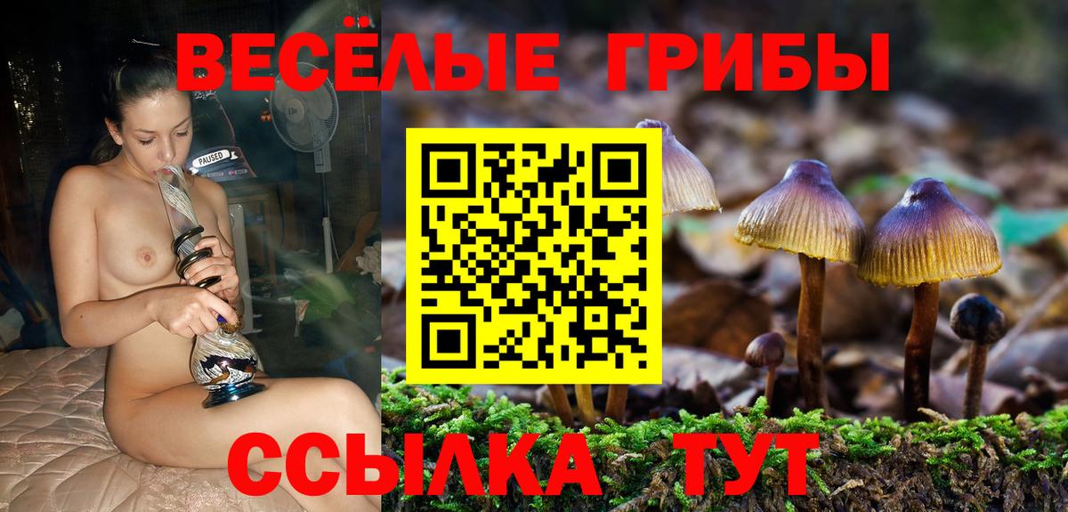 Куйбышев  Галлюциногенные грибы ЛСД  Вход с VPN  Галлюциногенные грибы Cubensis 